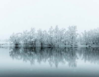 Абай облысында есірткі қылмысына қарсы іс-қимыл: 2026 жылдың алғашқы нәтижелері