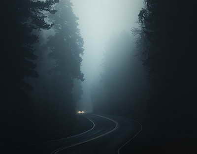 Oson pul topish ilinji qamoq bilan tugadi