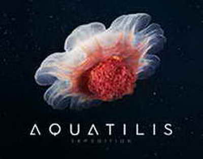 GÜNÜN QOROSKOPU: Sevgidə qayğı göstərmək sizi...